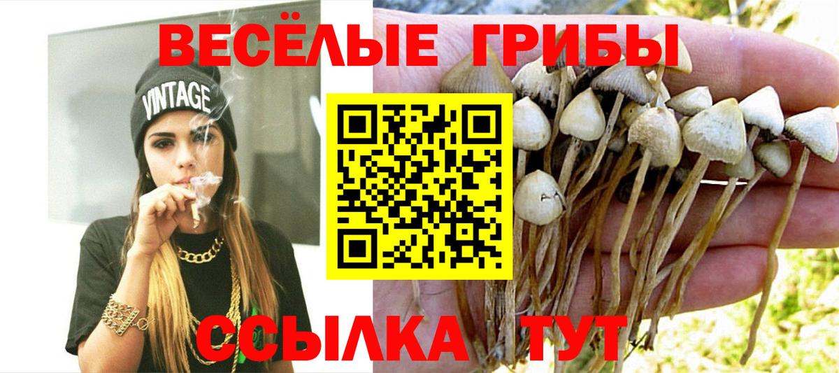 Галлюциногенные грибы мухоморы  Вход с VPN  Псилоцибиновые грибы Cubensis  купить закладку  Удомля 