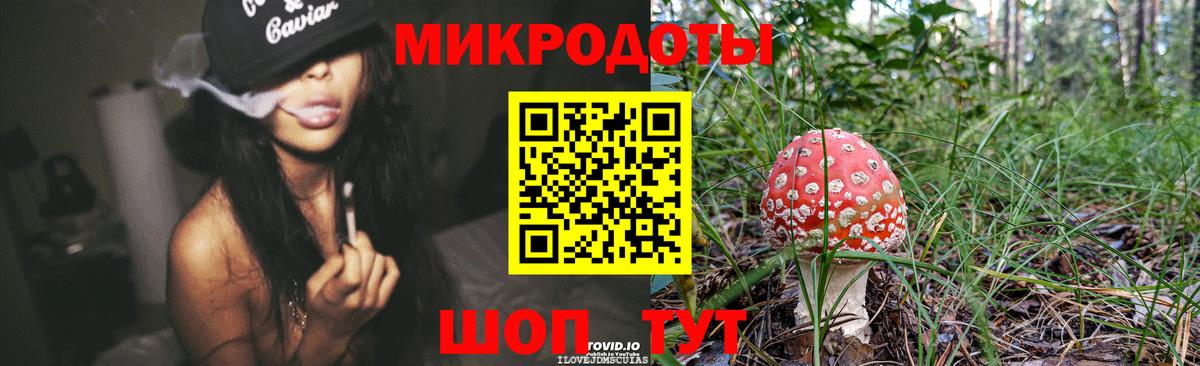 Галлюциногенные грибы ЛСД Удомля