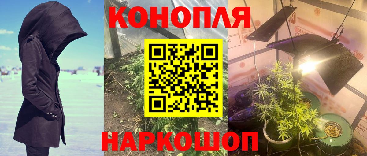 Каннабис MAZAR  Канабис гибрид  Вход с VPN  Канабис сатива  Удомля  Канабис SATIVA & INDICA 